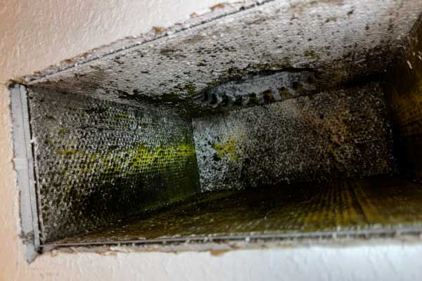 Duct Restoration Services Duct Restoration Services