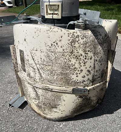 Mod Remediation Services Mod Remediation Services