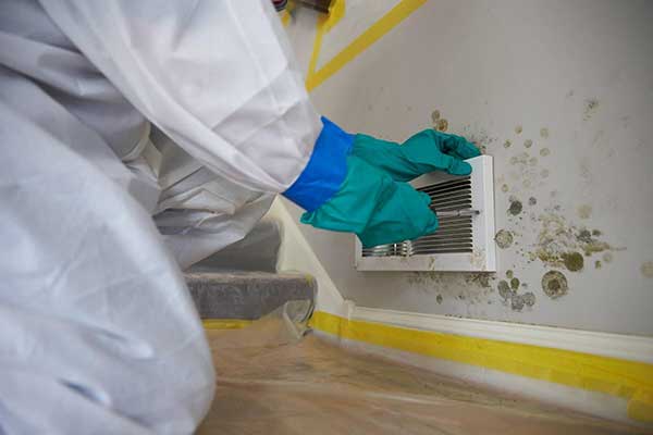 Mold Services