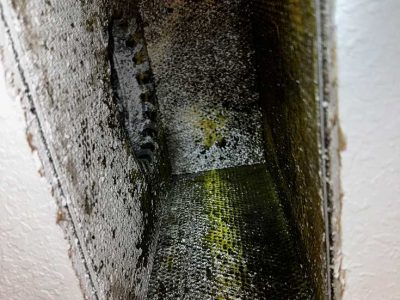 Duct Cleaning Services