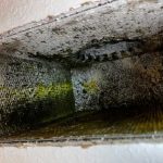 Gallery Duct Restoration Services 2 1770904081 Jpg